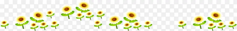 夏日海报手绘风景植物向日葵
