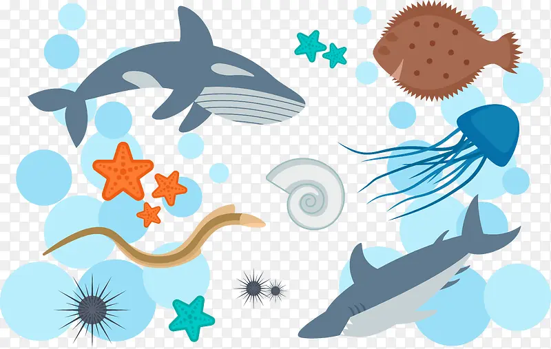 彩绘海底动物