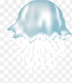 水母