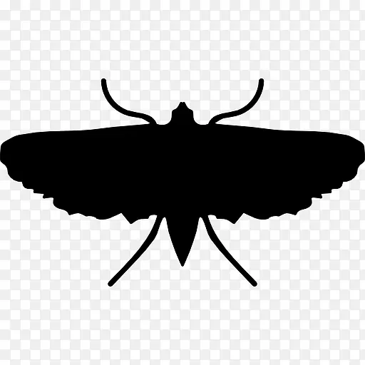 蛾类昆虫的形状图标