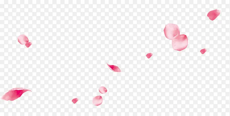 漂浮花瓣