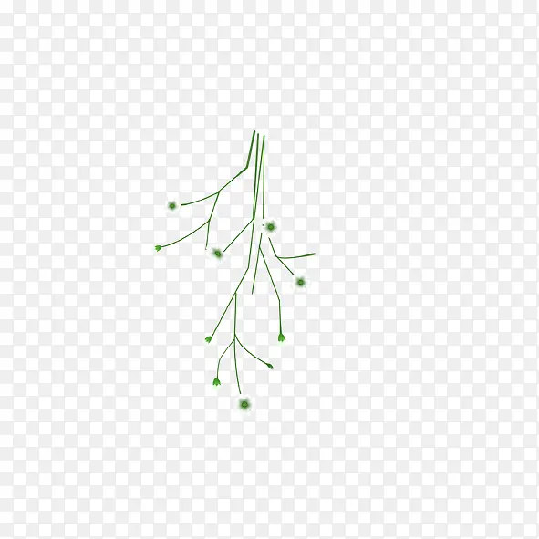 绿色枝条的花