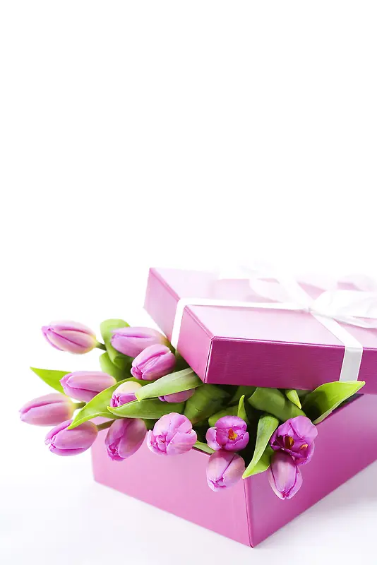 粉色礼盒花语物语