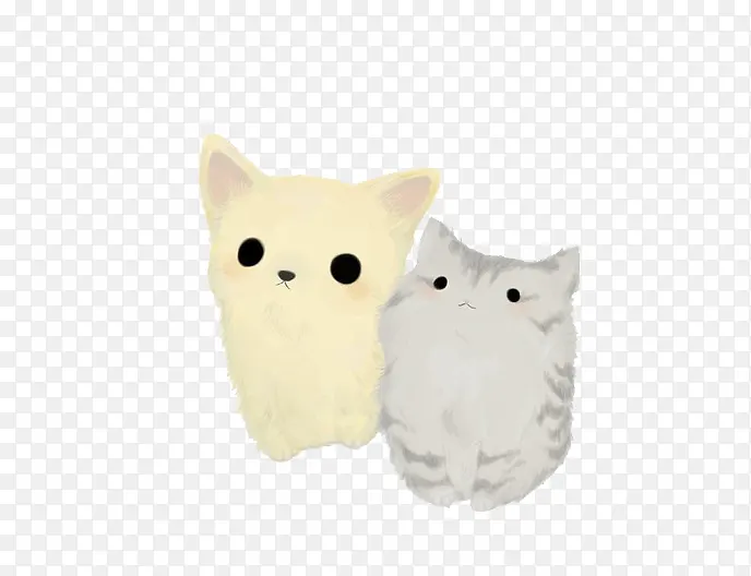 黄色猫咪和灰色猫咪