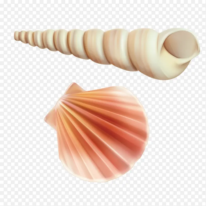 海螺和贝壳矢量素材