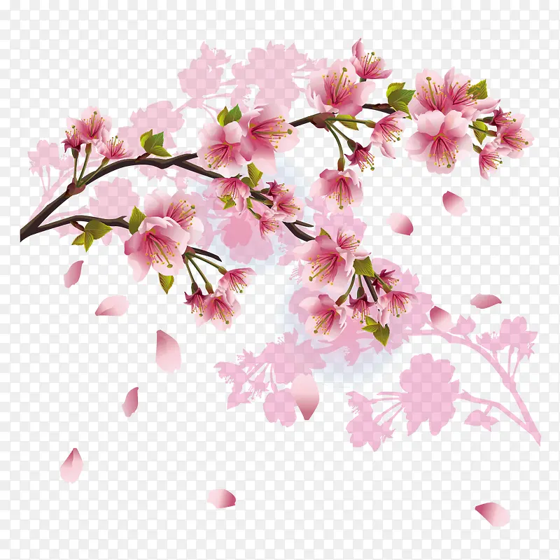 粉色的花枝
