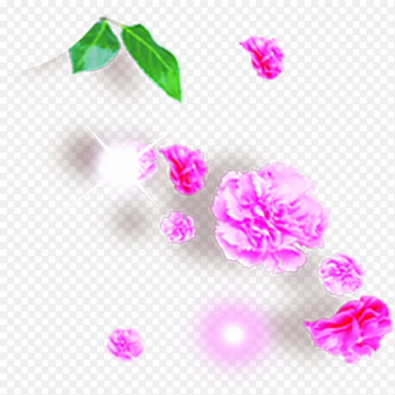 粉色梦幻花朵植物美景