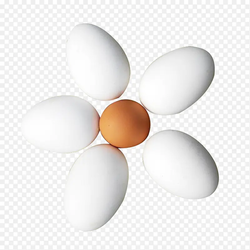鹅蛋和鸡蛋图片素材