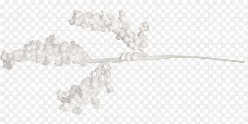 手绘白色树枝素材