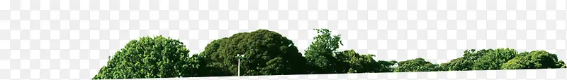 室外环境渲染效果绿色大树