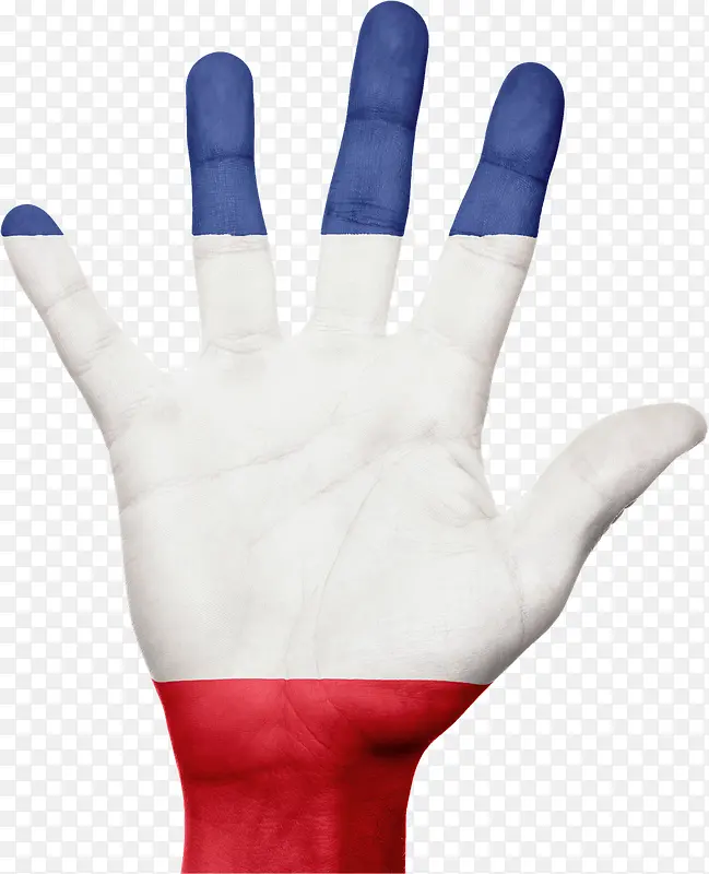 手掌上的彩绘法国国旗