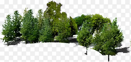 高清室外摄影环境渲染效果大树