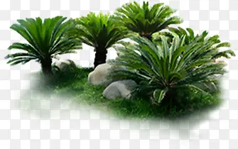 热带树丛环境素材