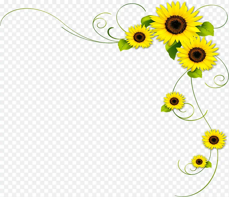清新黄色向日葵花朵边角装饰