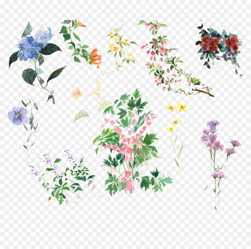 韩国小清新手绘花朵