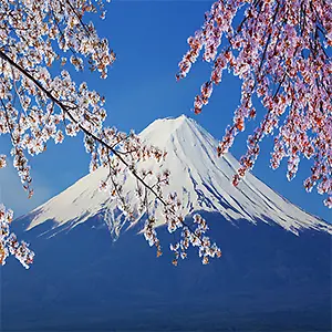富士山照片