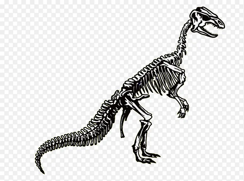 霸王龙化石