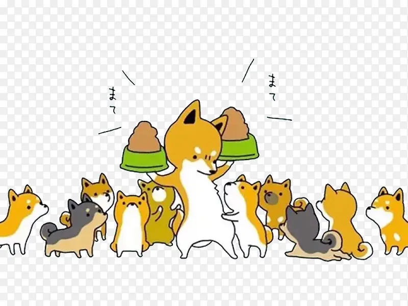 一群柴犬