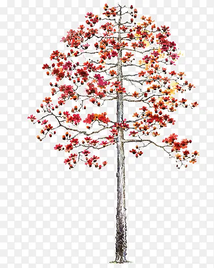 红色乔木手绘大树