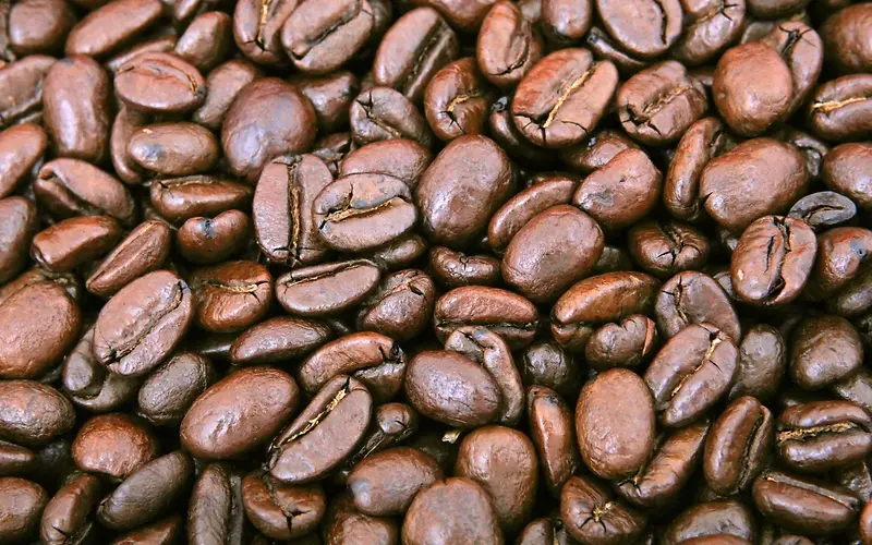 可可豆咖啡豆摄影图