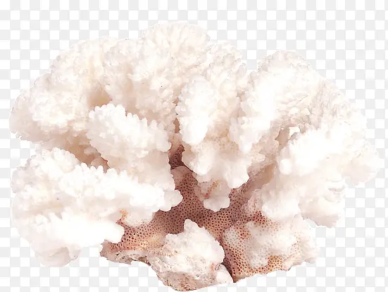 夏日海底珊瑚效果元素