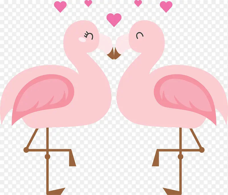 粉红色情人节接吻火烈鸟