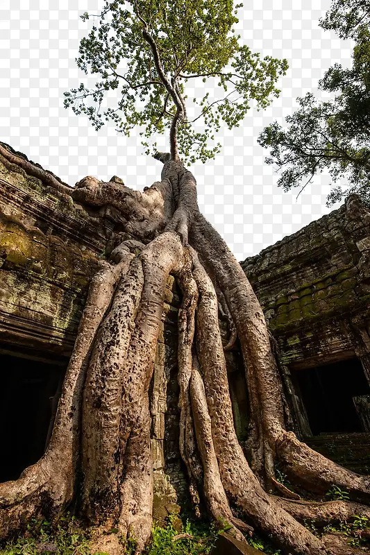 柬埔寨王国自然风景