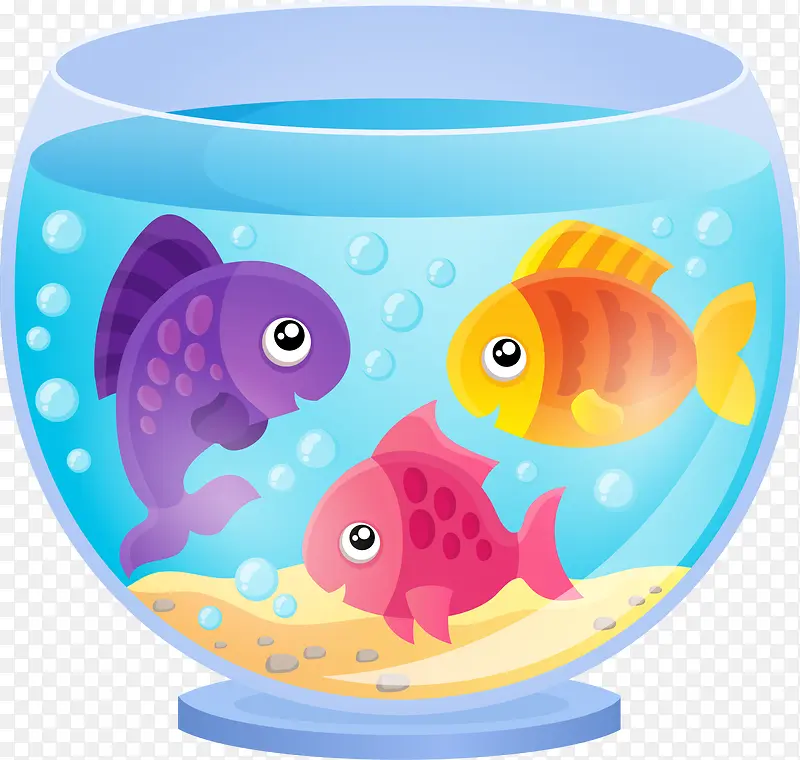 多种鱼和鱼缸