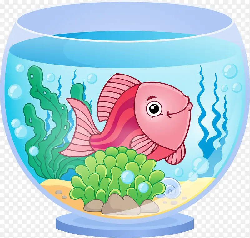 粉红色鱼和鱼缸