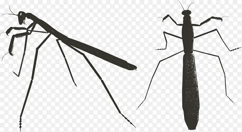 蚊子产品矢量图