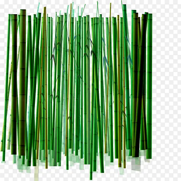 排列着的竹子