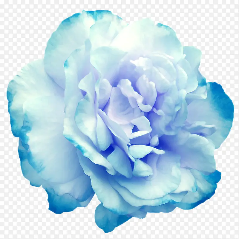 蓝色唯美花朵素材