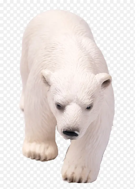 行走的北极熊