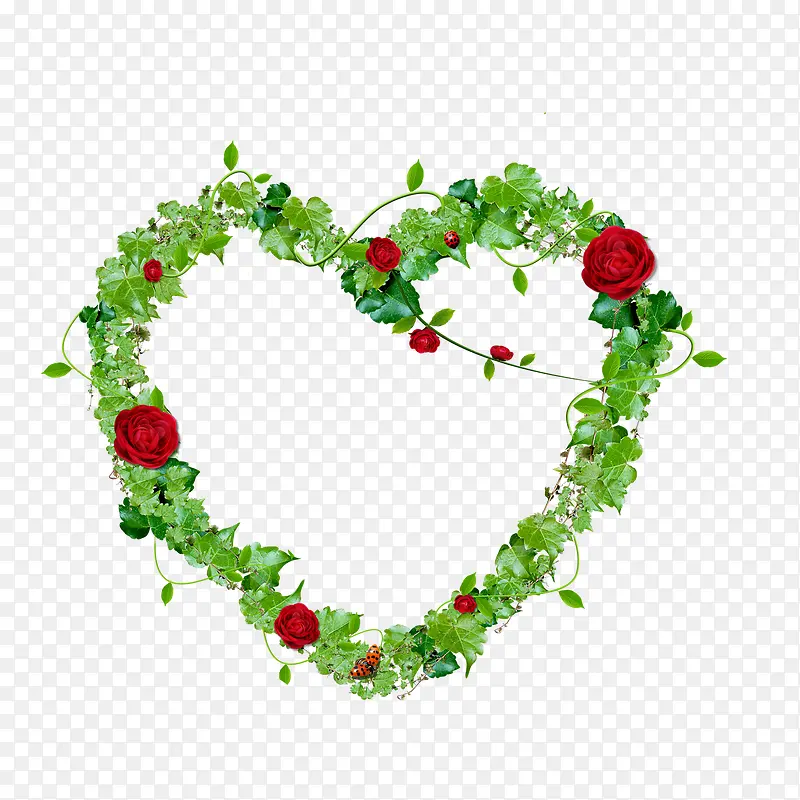 绿色藤蔓花朵装饰爱心边框素材