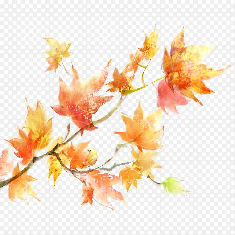 黄色的绘画图