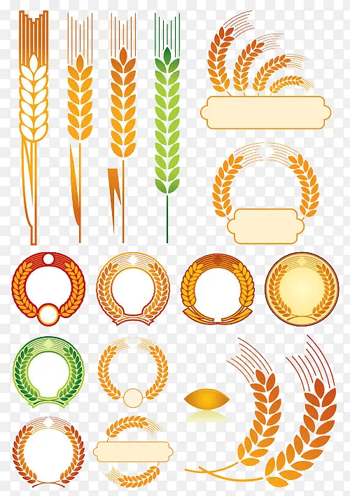 西式小麦素材图片