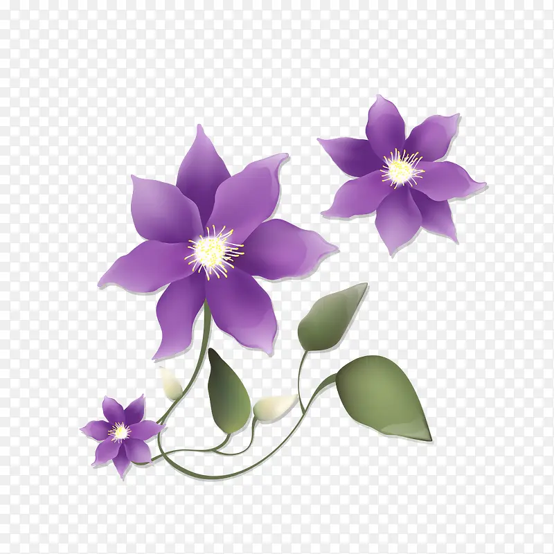 紫色的花瓣图案