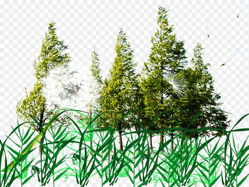绿色大树树林