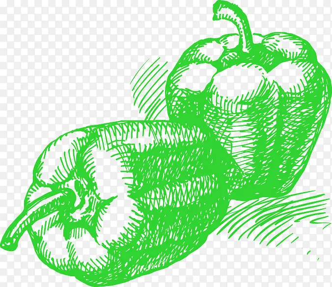 手绘绿色素描青椒图案