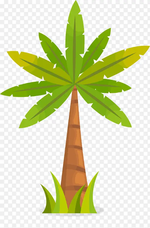 卡通热带植物棕榈树图