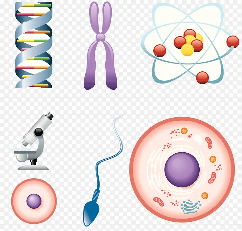 一组生物学图案