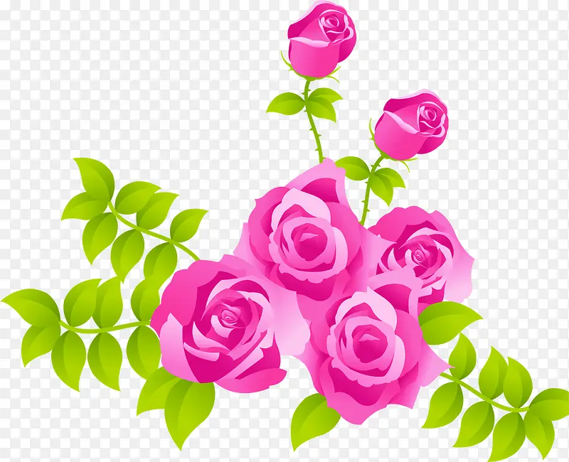 手绘粉色玫瑰封面设计
