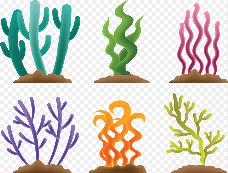彩绘海底植物