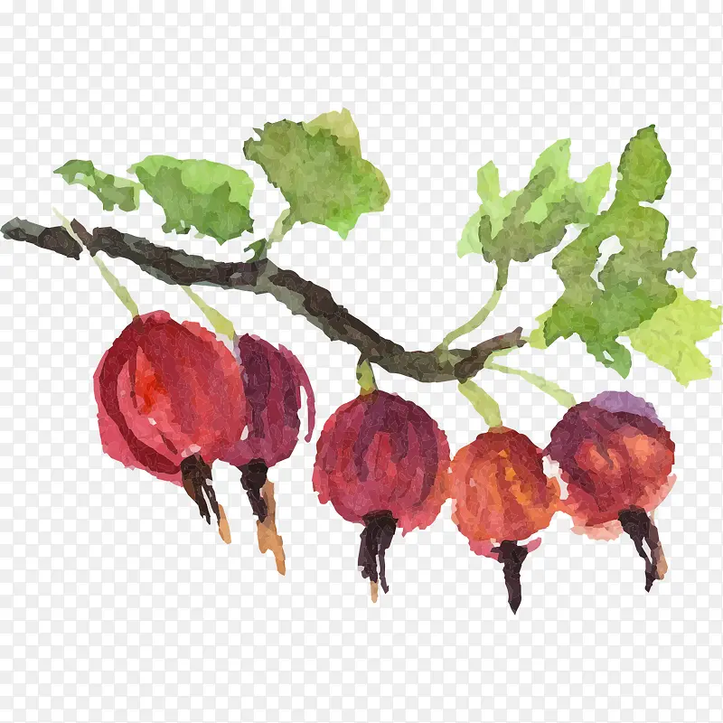 手绘水果树图像