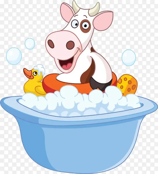 洗澡的可爱小牛