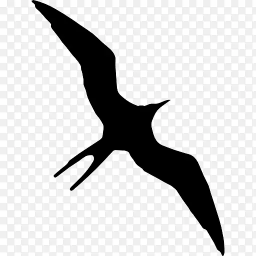 军舰鸟禽动物形状图标