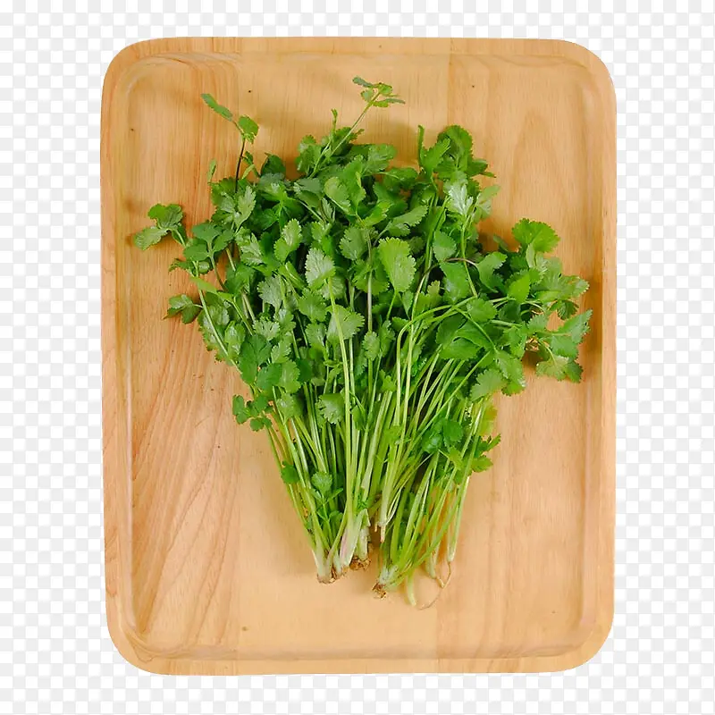 菜板上的香菜