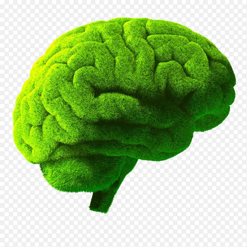 绿色大脑