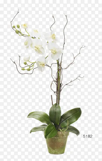 白色花卉装饰花瓶软装摆设