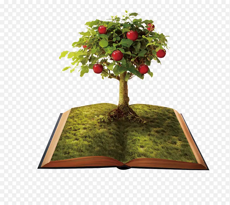 书本苹果树